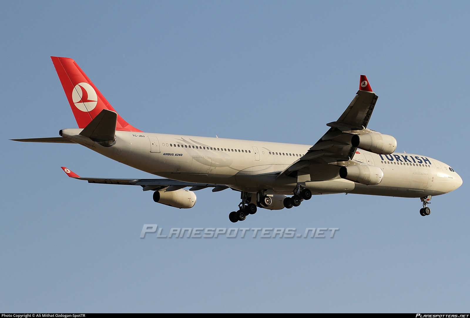 Airbus A340 023